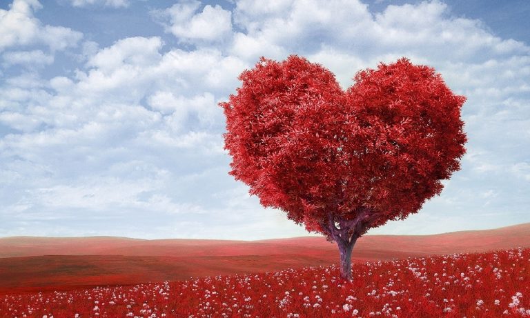 artistic-blossom-a-single-tree-red-leaves-shape-a-heart