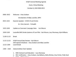 SEQIP Annual Meeting Agenda 8 Oct 2020